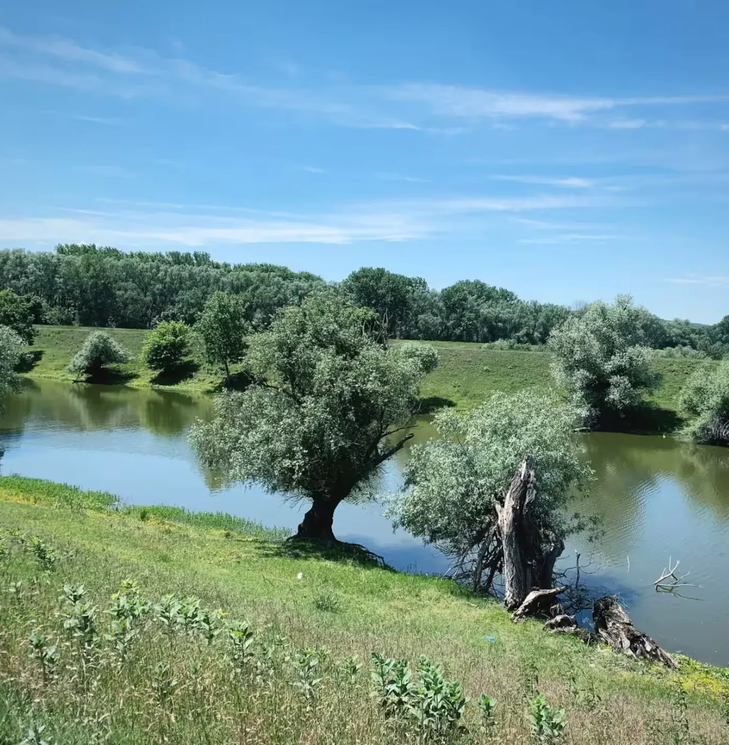 Ponjavica Nature Park near Walnut Glamping