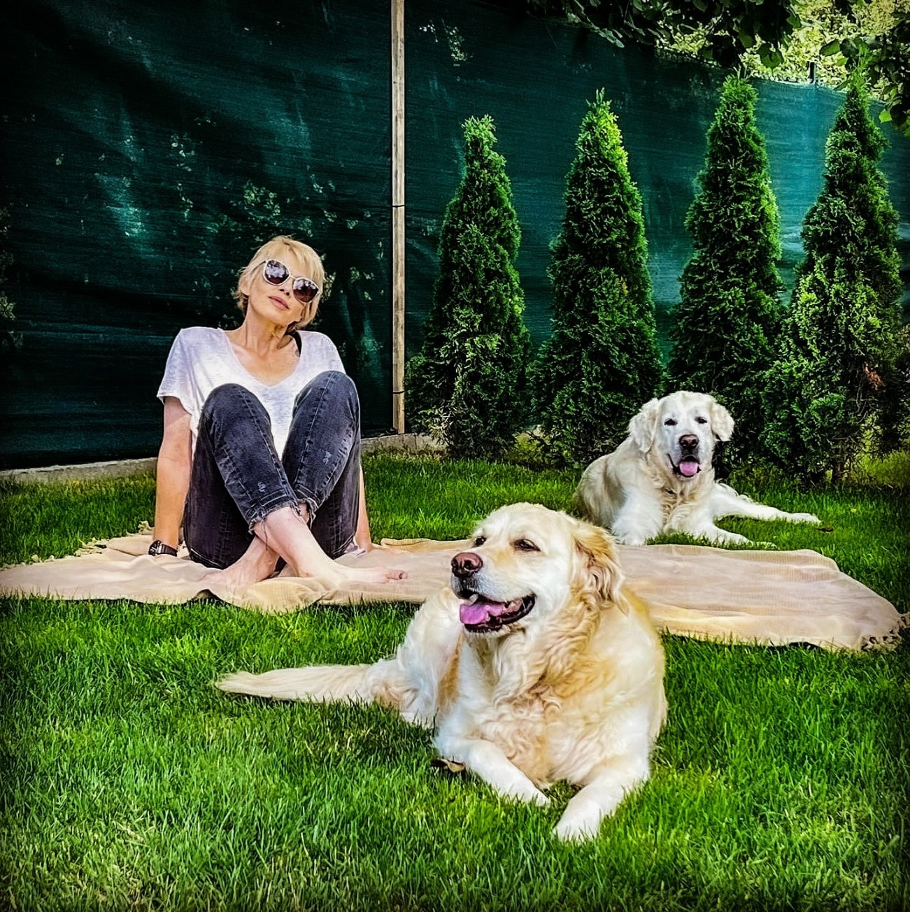 Pet-friendly stay at Walnut Glamping